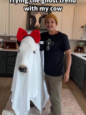 Trying the ghost trend with Buttons! #cow #brucethecow #farm #animals 