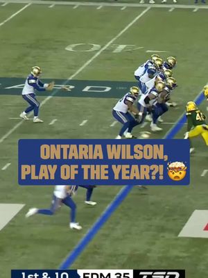 DID POKEY WILSON JUST COME DOWN WITH THE CATCH OF THE YEAR DURING @WESTJET THANKSGIVING WEEKEND?! #CFL #CFLFootball