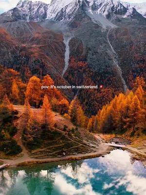 october in switzerland is unmatched 🥹 #swissalps #switzerland 