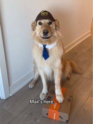Would you break the rules?? 🤔👀 #dogowner #funny #nerd #dogs 