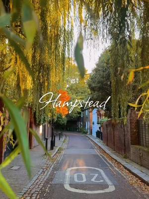 ✨ Hampstead: London’s dreamiest village that doesn’t feel like London at all. 🌿 • Wander Hampstead Heath: one of London’s most beautiful green escapes 🍃 • Climb up to Parliament Hill for skyline views 🌇 • Stroll through Hampstead Village: full of cobbled streets & storybook houses 🏡 • Visit Kenwood House (free entry + art & gardens 🎨) • Explore the hidden Pergola & Hill Garden: pure magic in autumn 🍂 • Step inside Burgh House & its cute café 🕰 • Browse the independent shops and bookshops along Flask Walk 📚 • Grab a coffee at Sourdough Sophia or Hagen ☕️ #londonvibes #thingstodoinlondon #hampsteadheath  