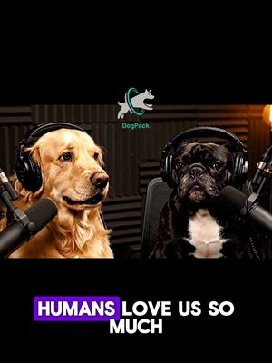 Goldie & Frenchie discuss why humans love dogs so much ❤️🐾