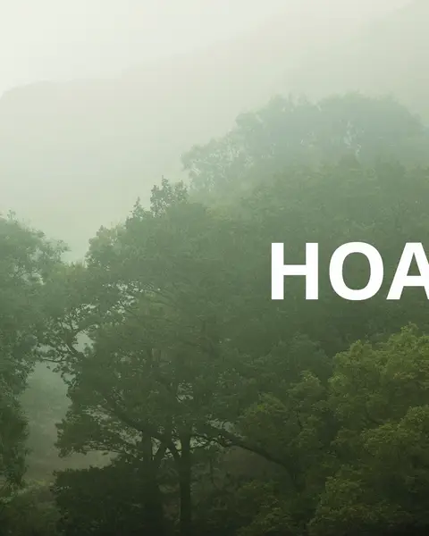 It’s hoa hoa hoa season 