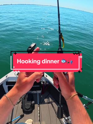 I Fished for my DINNER 🐟🎣 #fishing #fishingvideos 