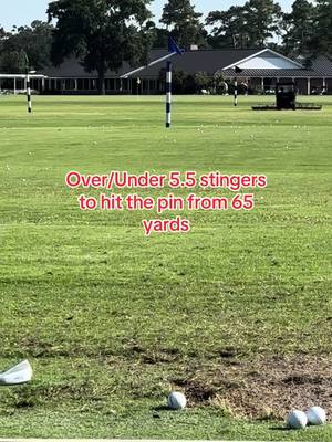 Stingers #golf #stinger #fyp 