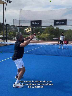 La víbora del maestro😎 The master’s vibora! #WilsonPadel #Padel #Sciorilli #Padelshot 