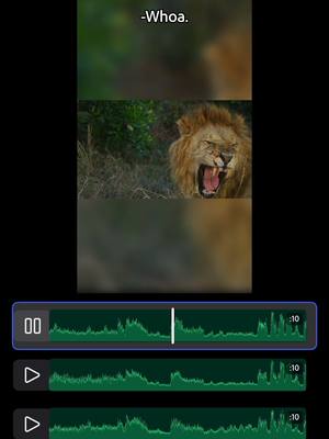A lion does not concern himself with mismatched sound effects. Just use #Premiere on iPhone's @adobefirefly-powered generator to deliver tailored SFX right to your edit. 🦁 #videoediting