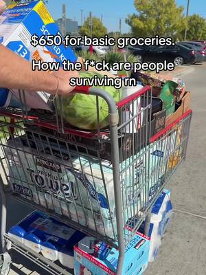 America 🥰🥰🥰#trump #groceryshopping #expensive #costofliving #family 