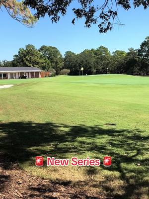 🚨 Comment the day and attempt number we complete the challenge to win a free putter ⬇️⬇️🚨                                            New challenge: 10 balls a day to hole out from 40 yards #golf #chipin #birdie #challenge #fyp 