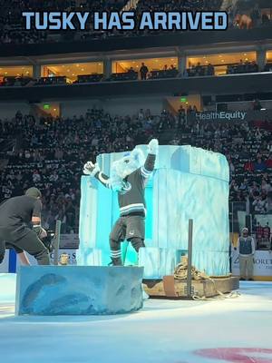 TUSKS UP!!! #hockey #NHL #utah #mammoth #mascot 