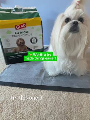 Clean house, happy pup 🖤 Glad Charcoal Pads keep it fresh, dry, and odor-free, even on training days!  #ugc #ugccreator #petugc #ugcpet #pet @Chewy 