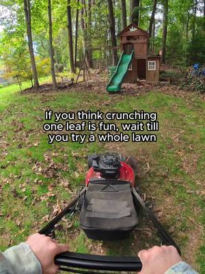 Mulching turns crunchy leaves into free fertilizer, feeding your lawn all season long.