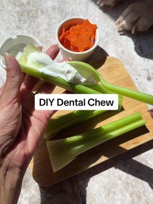 DIY dental chew recipe 👇 🦷 spread nonfat plain greek yogurt onto celery  🦷 top with GutWell Clean breath to address bad breath & dental disease from the inside.  🦷 add carrots  🦷 freeze to make last longer or give as is.  #doghealth #dogenrichment 