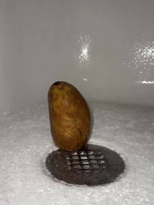 #potato #foryoupage #potatoes #fyp #xyzbca 