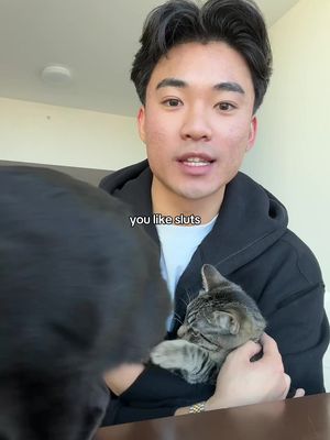Dogs just be letting ANYONE touch them
