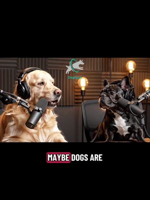 Are dogs angels in disguise? 