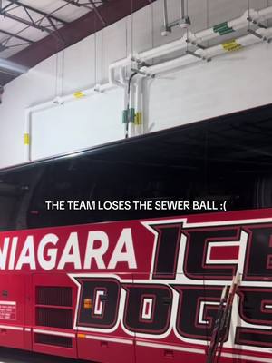A classic junior hockey story in three parts 🥹 #NiagaraIceDogs #OHL #hockeytiktoks #sewerball 