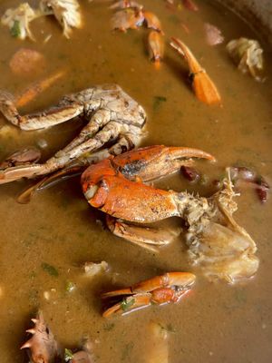 When the first breeze of the season comes, you know we gonna make some gumbo. Here’s how we me and my great aunt make our authentic Louisiana Creole Filé gumbo. My favorite gumbo is filé gumbo. This gumbo is unique from all the other gumbos out there as it uses filé powder instead of okra to thicken it. Also it includes many types of meat and seafood. If you want the full detail recipe and tutorial, it is on my website in my bio. Let me know if you try this. #creole #gumbo #louisiana #neworleans #risascuisine 