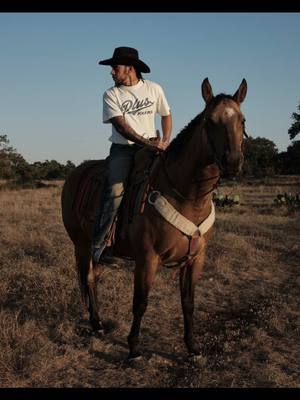 🐎