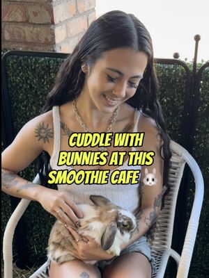 BUNNIES & AÇAÍ 🐰😍 Brand new & located in Tempe, Arizona is La Joll Açaí Bowls 🫐 What’s unique about them is their bunny petting zoo!! After getting a delicioussss & healthy smoothie or açaí bowl you can go play with the bunnies outside!! It’s $8 for a walk up or $10 to reserve your time online. 😊 This is perfect for all ages and for families. Their bowls are a perfect mix of being healthy and tasting divine 😋 I tried… 🫐 La Jolla Açaí Bowl (owner’s fave) The açaí is from La Jolla, California! ☀️  🎃 Pumpkin & Cinnamon Smoothie (seasonal) I loveddd both, super refreshing and the açaí bowl also had Nutella which was a yummy surprise 🤤 # hosted  They’re now officially OPEN, so come check them out and let me know what you think 🌞  📍 Address: 1701 E Warner Rd, Tempe, AZ 85284 •  #azfoodie #arizonacheck #animallover #acaibowl 
