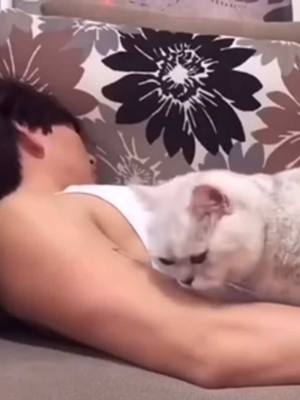 Cat is sometimes clingy and sweet and I love it. 😽💖