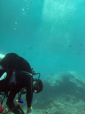 Have you always wanted to join a marine conservation project but don’t have a degree in marine biology? Then you need to see this video. During this trip, we’ll focus on species identification — learning how to recognize corals, fish, and, if we’re lucky, even mantas or sea turtles. You’ll also gain hands-on experience in coral restoration, helping these fragile ecosystems recover. Hey, my name’s Adam. I’m a 20-year-old marine biology student, traveler, conservationist, and someone deeply passionate about nature. Next April 2026, I’m hosting my first-ever marine conservation trip in Nusa Penida, Bali. You can earn your Marine Ecology certification while joining a community of like-minded ocean lovers. It’s open to both certified and non-certified divers. Accommodation, dives, and three meals a day are included. If this is something that’s been calling you, this trip is for you. Request to join the WhatsApp group through the link in my bio — your request will be approved within two days. If you want to make a positive impact during your travels, I can’t wait for you to be part of this journey.