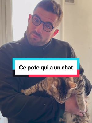 Les poils de chat, on est d’accord ou pas ? 😭 #humour #pourtoi #chat #chaton 