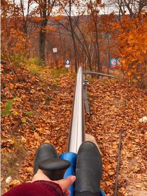 Fall mountain coaster ⛰️🍂 It’s been a year since I went on this — it was so much fun! #mountaincoaster #fallincanada #fallinottawa #fallleaves @Camp Fortune 