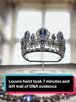 #French investigators have now recovered DNA evidence after a brazen heist at the #Louvre Museum in #Paris. Thieves made off with a haul of priceless treasures in broad daylight after breaking in through a window #france 