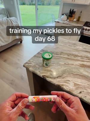 flying pickles? @Smarties 