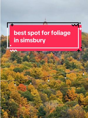 @Talcott Mountain Collective was made for autumn 🍁 The vibes here are perfect - live music, dogs running around, views of Heublien, food trucks, lots of local beers on tap, and more.  #simsburyct #talcottmountaincollective #heubleintower #ctfoliage #ctviews