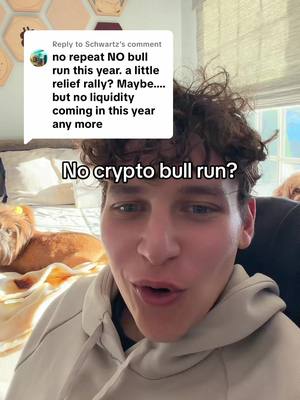 Replying to @Schwartz We are literally IN the bull run right now 😂  #bullrun #crypto #bitcoin #altcoin 