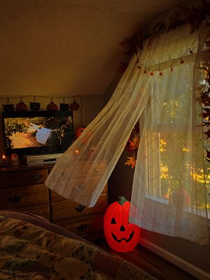 people said I had a Michael Myers window so I figured why not 🤣🤣🍂 #october #michaelmyers #halloween #spookyseason #vintagehalloween 