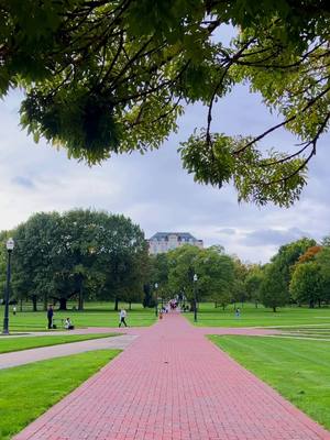 The home of a Buckeye — land, sea and sky. 🌳☁️