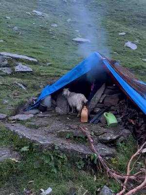 July 2024 | India | Camping with shepherds in the mountains of India on day 524 of my walk around the world 🇮🇳🌏 Watch longer videos of each day on Patreon via the link in my bio 🎥 #india #camping #Hiking #Outdoors #explore #uttarakhand