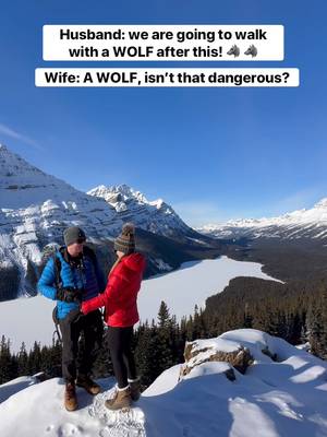 This is the Northern Lights Wolf Centre, one of the only places in Canada where you can take a real life wolf for a walk.  It was terrifying but was one of those experiences that left us speechless. We do have a full guide on the Canadian Rockies linked in our bio for both summer and winter with experiences like this in it too! 🐺 How to Visit This conservation facility is right outside of Golden, BC in the Canadian Rockies. You can go to the facility and see the wolves, but if you want to walk with a wolf you have to book ahead! The wolf walk is called Blackwolf Photography Walk when booking! All reservations are at 9:00am and you have to book ahead with @northernlightswolfcentre. You can do a small group or a private tour. We went with a group of 6 and it was totally fine. It is open all year round! The walk is about 2kms for an hour and a half, as there are a lot of stops along the way. There are always qualified wolf guides on the walk with you!