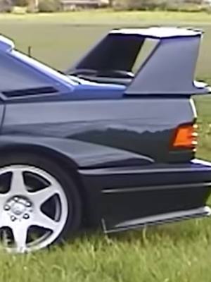 In a field of dreams #MercedesBenz #190E #EVOII #FYP 
