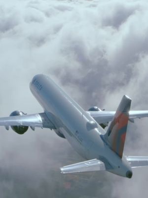 icymi: nature’s original frequent flyers are showing us how to save fuel. learn more at the link in our bio.