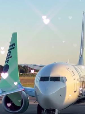 i know u wanna confess ur love to the flairplane in comments... wildest comment gets made into a tshirt 😏✈️ #flairairlines #confessyourlove #confession #laufey #planes 