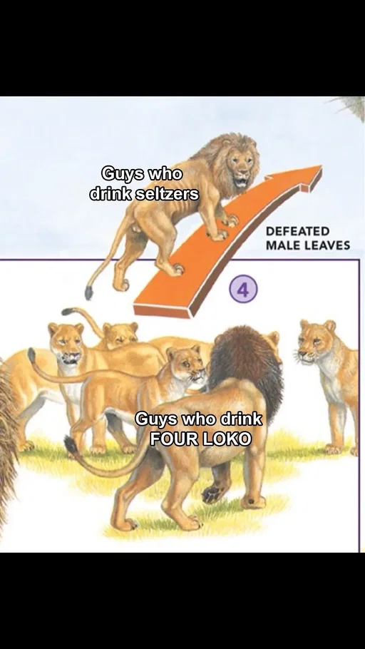 I dont make the rules