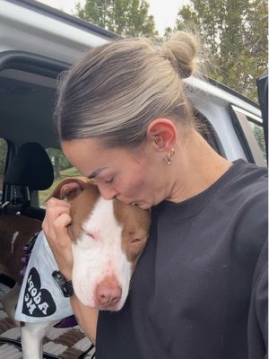 My latest obsession.. get Praline adopted!!!!🥹🥹 And for you all to apply to foster for your local shelter.. that could mean taking a dog for a day, a night, a weekend or till they get adopted. 🫶🏼🫶🏼🫶🏼 #Tennessee #adoptdontshop #rescuedog #shelterdog #dogtok 
