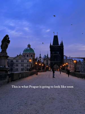 ✨  Prague in winter feels like stepping into a fairytale. Snow-dusted streets, glowing lanterns, and the sound of church bells echoing through the cold. 🎄 Wander through Old Town Square, drink mulled wine beneath the lights, and watch the Charles Bridge shimmer in gold. 🕯 Every turn feels softer, slower, more magical: a city wrapped in nostalgia and warmth. 💫 This is winter at its most romantic. Prague: timeless and unforgettable. #praha  . . . . . Prague Christmas market Prague travel guide Things to do in Prague winter Christmas in Prague Charles Bridge Europe winter wonderland