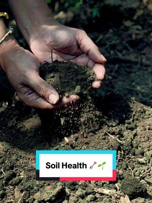 In India, our team of agronomists have supported Geetha to improve the productivity and quality of her coffee, with farming practices that help conserve and restore natural resources such as the soil. 🌱 #coffeefarming #coffeeindia #farming #soilhealth 