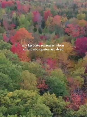 my favorite season is when all the mosquitos are dead. truly a like peace like no other.