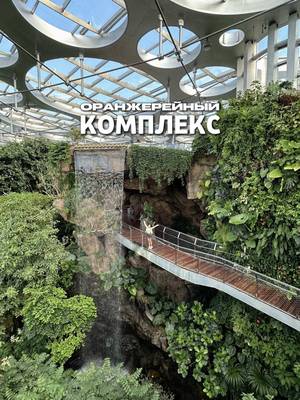Самый красивый сад, в который можно попасть всего за $14 🤯 Природа, технологии и уют в одном месте — китайцы продолжают удивлять своими проектами 👏🏼 Shanghai Greenhouse Garden — рай в центре города 🌿 Билеты взяли на @trip 📱 Отправляй тому, с кем хочешь тут прогуляться по этой оранжерее 🚶🏻 ——— #шанхай #китай #путешествие #сад #оранжерея  
