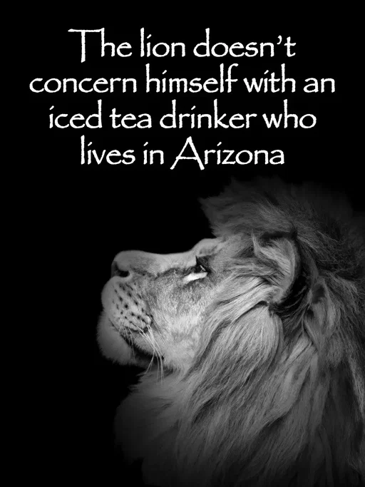 The lion wants Brisk