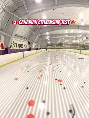 🇨🇦 Canadian Citizenship Test 🍁 | Volume 10 #hockey #pavelbarber #canada #canadian 
