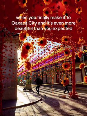 Oaxaca is magical ✨ #oaxaca #oaxacacity #diademuertosmexico #diademuertosoaxaca 