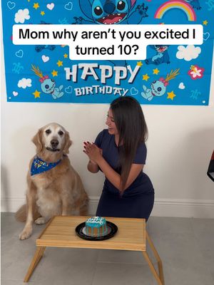 We’re now 25 & 10 years old but we were once 15 & 2 months old 🥺❤️ #dogsoftiktok #dogs #tiktokdogs #goldenretriever #birthday 