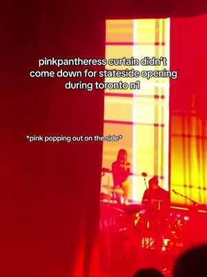 honestly this lil tech issue made pinkpantheress toronto more fun & memorable @😘🙈☺️ #pinkpantheress #toronto #torontoconcert #aneveningwithpinkpantheress #pinkpantheressconcert 